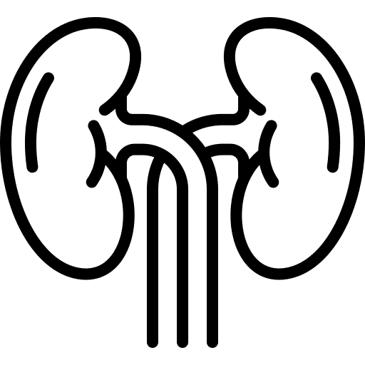 RFT (சிறுநீரக செயல்பாட்டு பரிசோதனை)